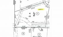 3905 Savannah Ridge Drive Marietta, GA 30062