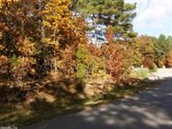11/6 Baltanas 48 Baltanas Way, Hot Springs Village, AR 71909