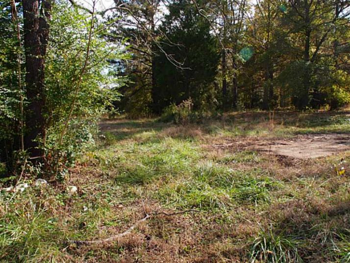 3469 S Ola Road, Locust Grove, GA 30248