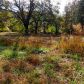3469 S Ola Road, Locust Grove, GA 30248 ID:2998097