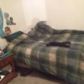 5634 Sheltie Avenue, Anchorage, AK 99504 ID:2459202