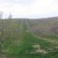 0 Los Cerritos E Of Rd, La Grange, CA 95329 ID:3822017