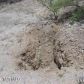 0 17715 E Gila Monster, Vail, AZ 85641 ID:3418226