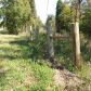 00 Hwy 201 North, Clarkridge, AR 72623 ID:1166928