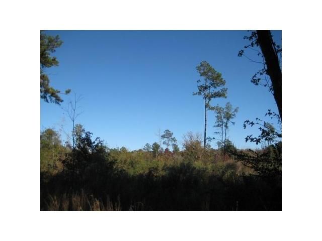 0 Hwy 121, Elmer, LA 71424