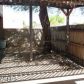 2858 W Sheryl, Tucson, AZ 85713 ID:1653541