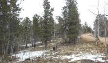 645 Badger Trail Florissant, CO 80816