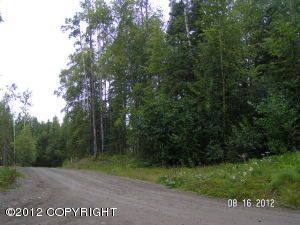 15205 W Debbie Drive, Big Lake, AK 99652