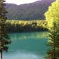 18112 Sterling Highway, Cooper Landing, AK 99572 ID:1110388