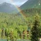 18112 Sterling Highway, Cooper Landing, AK 99572 ID:1110389