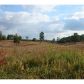 0 Highway 41  Chitwood, Resaca, GA 30735 ID:2439995