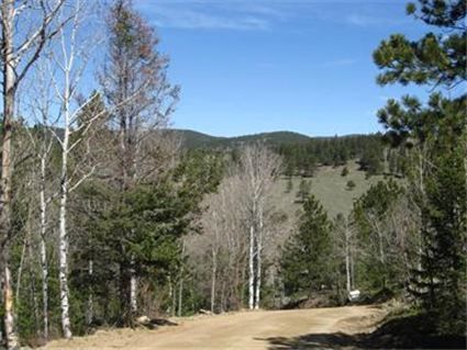 0 Robinson Hill Road, Golden, CO 80403