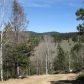 0 Robinson Hill Road, Golden, CO 80403 ID:3950481