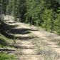 0 Robinson Hill Road, Golden, CO 80403 ID:3950487