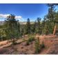 88 Hayes Street, Bailey, CO 80421 ID:1634522