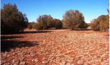 123 Kaml Rd. Ash Fork, AZ 86320