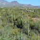 51x2 E DESERT HILLS Drive, Cave Creek, AZ 85331 ID:1453601