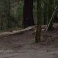 17939 Apache Trl, Los Gatos, CA 95033 ID:123500