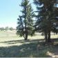 211 Joshua Rd., Divide, CO 80814 ID:3857602