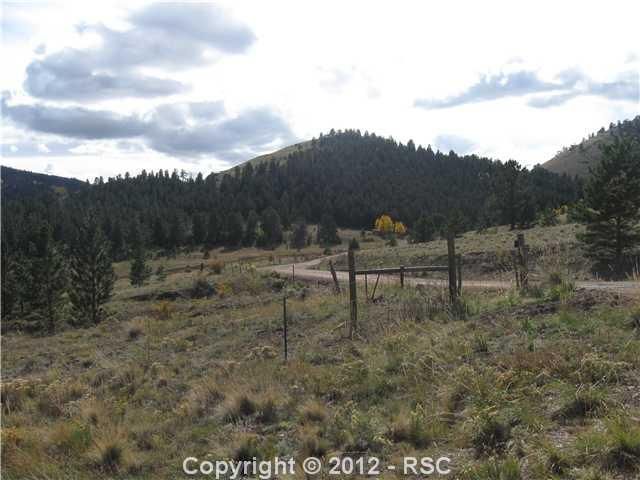Lot 52 County 88 Rd, Guffey, CO 80820