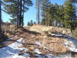 17 Wa-Hi Rd, Divide, CO 80814