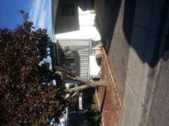 291 Guenevere Street, North Salt Lake, UT 84054