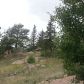 141 Loch Leven Dr., Guffey, CO 80820 ID:3861477