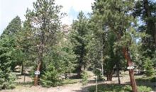 24143 Peak Drive Conifer, CO 80433