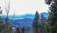 11783 Braun Way Conifer, CO 80433