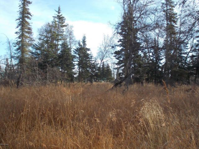 14185 Sterling Highway, Ninilchik, AK 99639
