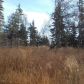 14185 Sterling Highway, Ninilchik, AK 99639 ID:1509268