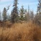 14185 Sterling Highway, Ninilchik, AK 99639 ID:1509269