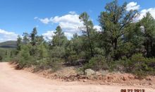 443 N. Ike Clark Parkway Young, AZ 85554