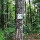 23 Hothouse Ridge, Mineral Bluff, GA 30559 ID:3367688