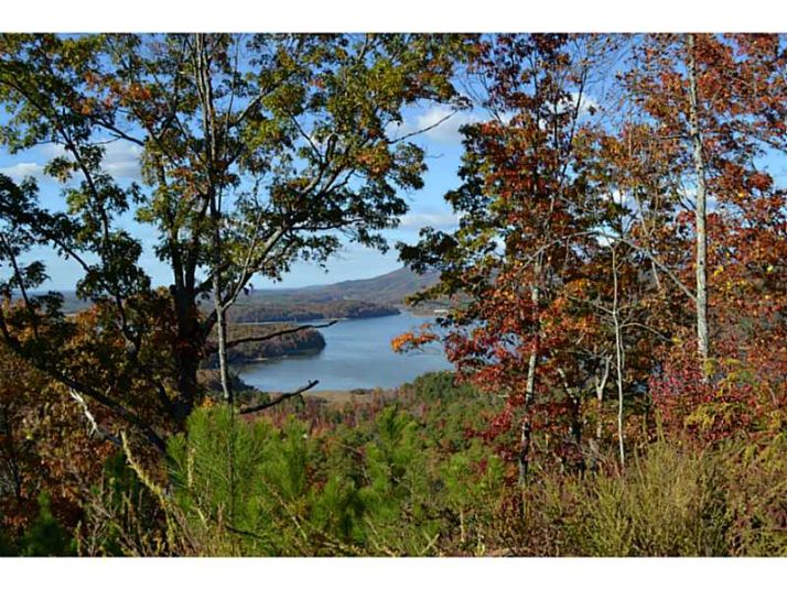 314 Oberlin Court, Ranger, GA 30734