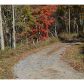 314 Oberlin Court, Ranger, GA 30734 ID:3041464