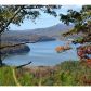314 Oberlin Court, Ranger, GA 30734 ID:3041465
