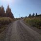 17670 Kimeluk Street, Ninilchik, AK 99639 ID:1079789