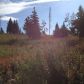 17670 Kimeluk Street, Ninilchik, AK 99639 ID:1079790