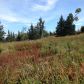 17670 Kimeluk Street, Ninilchik, AK 99639 ID:1079791