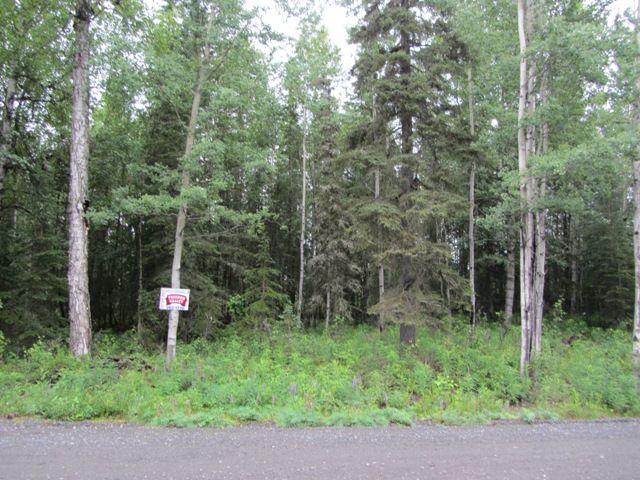 1010 Strawberry Road, Kenai, AK 99611