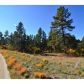 1789 Wild Timber Court, Franktown, CO 80116 ID:3864419