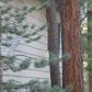 383 Willow Ct  3, Incline Village, NV 89451 ID:3771045