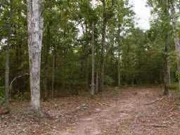0 Nix Road, Cumming, GA 30041