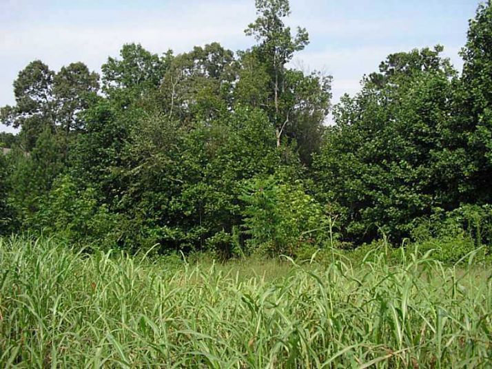 1694 Braselton Highway, Lawrenceville, GA 30043