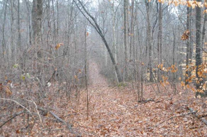 5740 Frank Gilmer Road, Gillsville, GA 30543