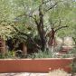 40205 N 26th Street, Cave Creek, AZ 85331 ID:1118627