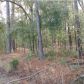 0 TOOGOODOO RD, Hollywood, SC 29449 ID:4306415