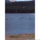 69 Wilderness Drive Dr 228, Breckenridge, CO 80424 ID:4230895
