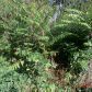 3122 Cedar Street, Scottdale, GA 30079 ID:2536991